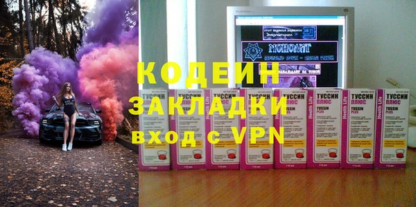 хмурый Верея