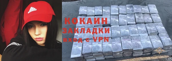 хмурый Верея