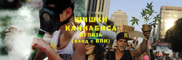 хмурый Верея
