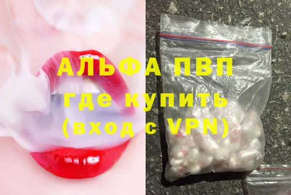 хмурый Верея