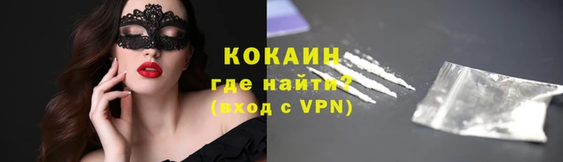 хмурый Верея