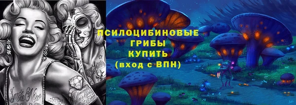 хмурый Волоколамск