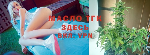 хмурый Верея