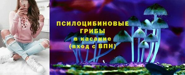 стаф Верхний Тагил