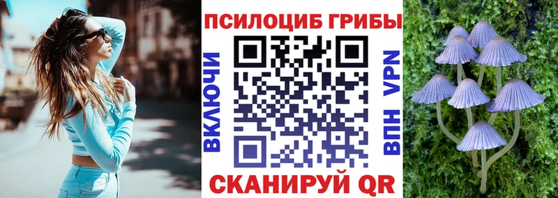 ссылка на мегу ССЫЛКА  купить наркотики цена  Нижнекамск  Галлюциногенные грибы Psilocybe 